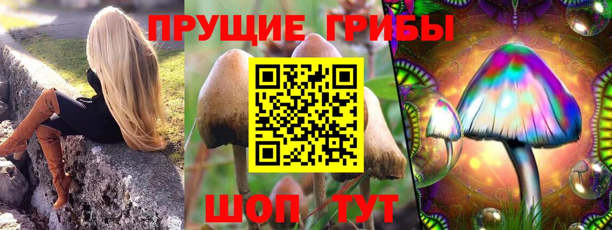 Галлюциногенные грибы мицелий Киселёвск
