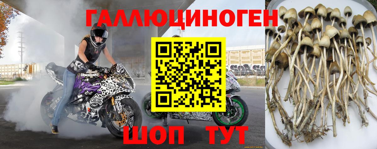 Галлюциногенные грибы MAGIC MUSHROOMS  Псилоцибиновые грибы мухоморы  Киселёвск  Вход с VPN 